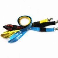 Lanyard