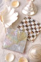 Shell Mosaic