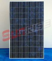 Poly-Crystalline Solar Module