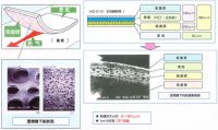 Sticker Paper(acetabular Environmental Friendly