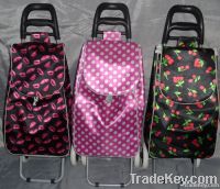 Foldable shopping trolley/shopping trolley bag