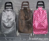 Foldable shopping trolley/shopping trolley bag