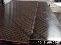 film faced plywood