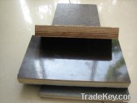 film faced plywood