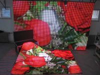 Flexible LED display, soft LED display, Rollable LED lighting