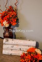 Decorative White Birch Logs/6 Piece Set For Home DÃ©cor: