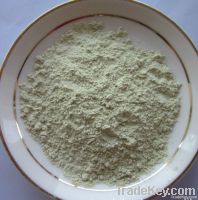 Dedydrated  onion powder