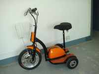 EEC/DOT 3-Wheels 350W Electric