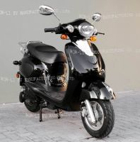 EEC/DOT 2000-3000W  48V/38AH