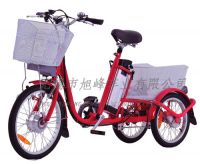 Electric Tricycle