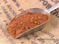 Cocoa  Powder