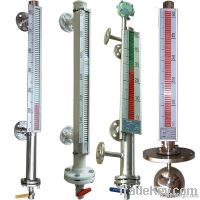 magnetic level gauge