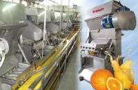 Turnkey Industrial Citrus/Orange Juice Processing Line/Machine