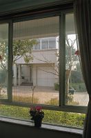 Window Screen