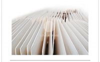 Paulownia wood surfboards