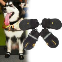 New Pet shoes