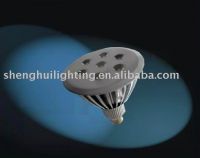 High Power LED Lamp PAR38