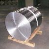 China Aluminum Strip (Plain)