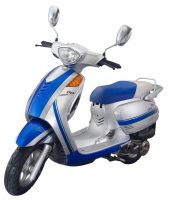 50/125/150cc Prince