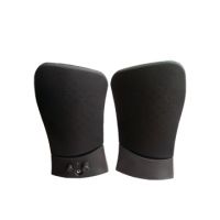 sell  many  popular speaker