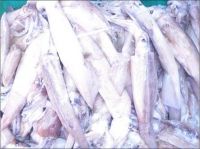 Frozen squid