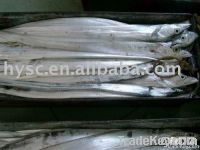 Frozen Ribbon Fish/hair-tail fish