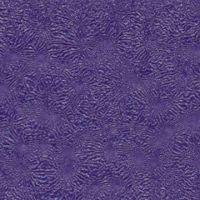 Texture Powder Coating