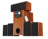 5.1 Speaker