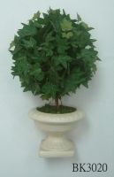 Ivy Topiary in Clay Pot