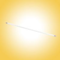 Fluorescent Tube