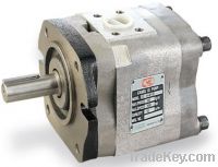 Gear Pumps (IGH, IGM)