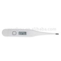 Digital Thermometer