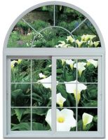 UPVC Windows