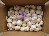 Pure White Garlic Snow White Garlic