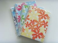 Pp Notebook