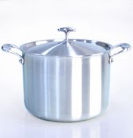 s/s stock pot