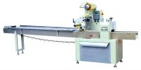 ZW-100E packaging machine