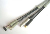 Cable Assembly And Wire Harness