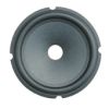 speaker cone