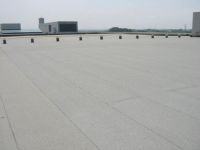 Bituminous waterproofing membrane