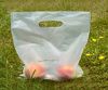 bio-bags