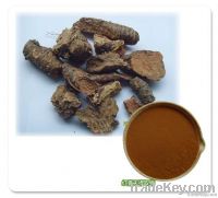Rhodiola Rosea P.E