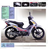 Sy110-12