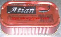 125gr flat tin canned sardine in oil