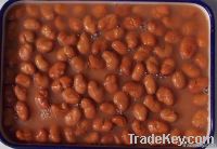 Canned Broad Beans 397gx24/CTN