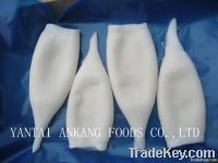 Frozen seafood squid tube
