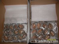 seafood Frozen abalone