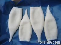frozen squid