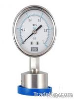 Sanitary Pressure Gauge From China