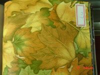 Case Leather
